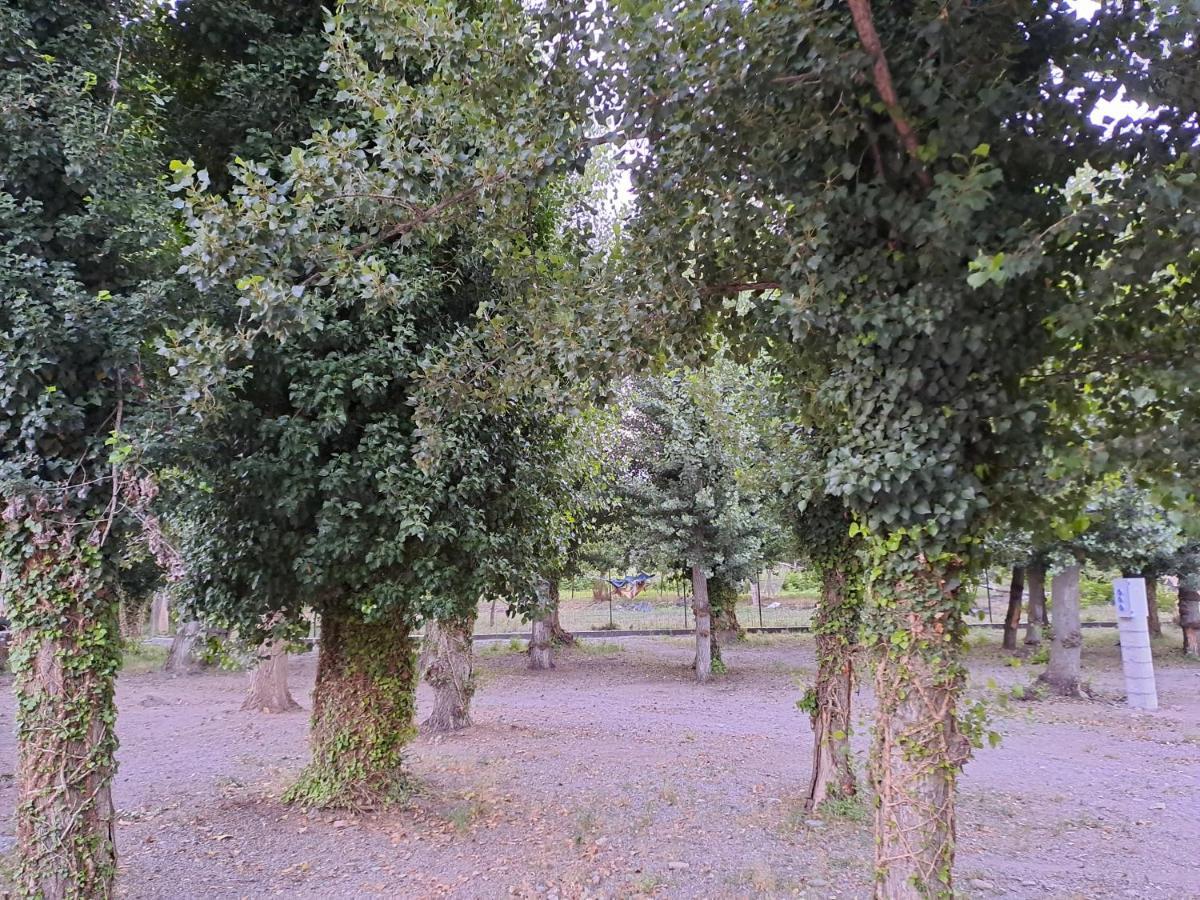 Fondón Camping Valle Del Andarax מראה חיצוני תמונה